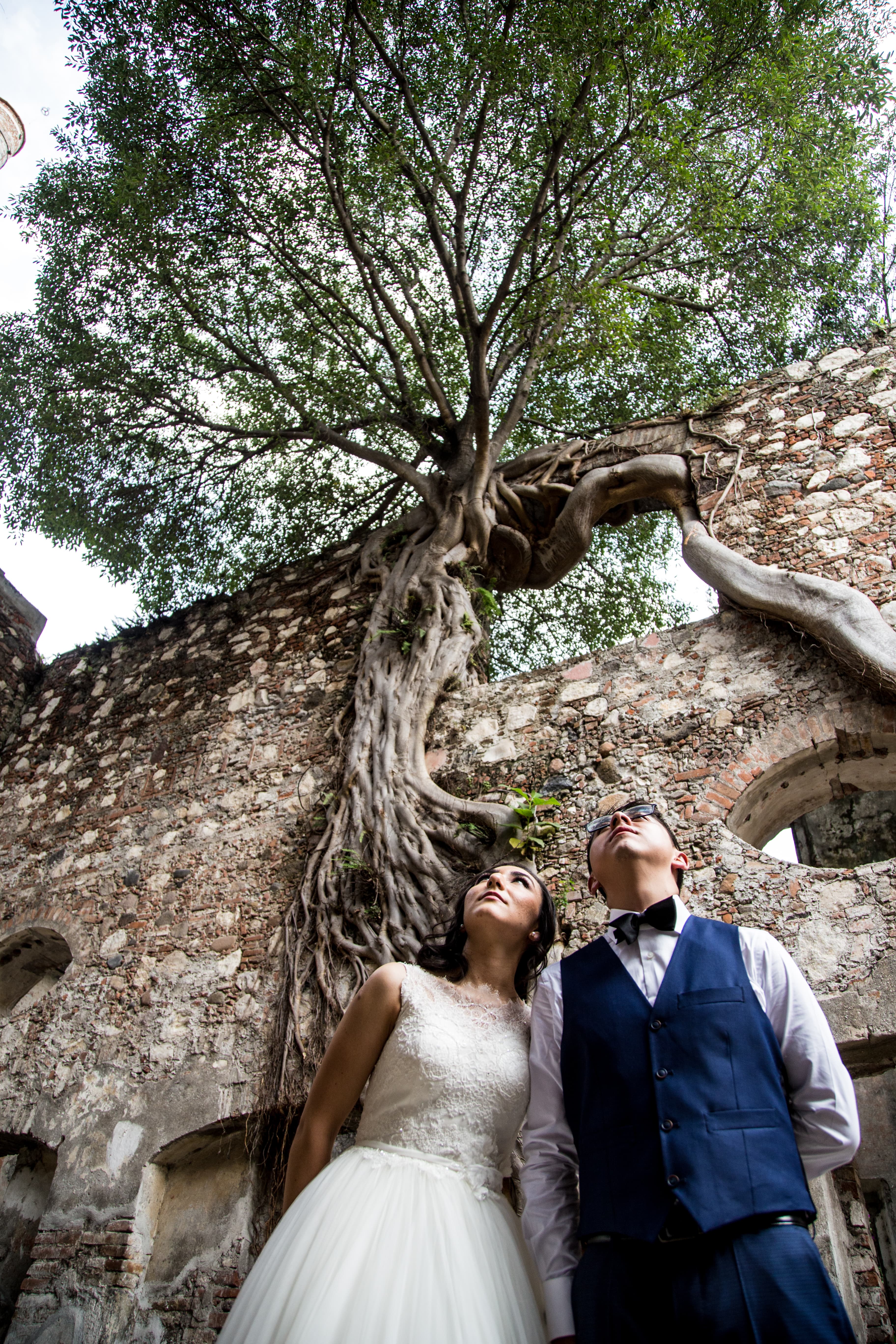 Banquete de boda